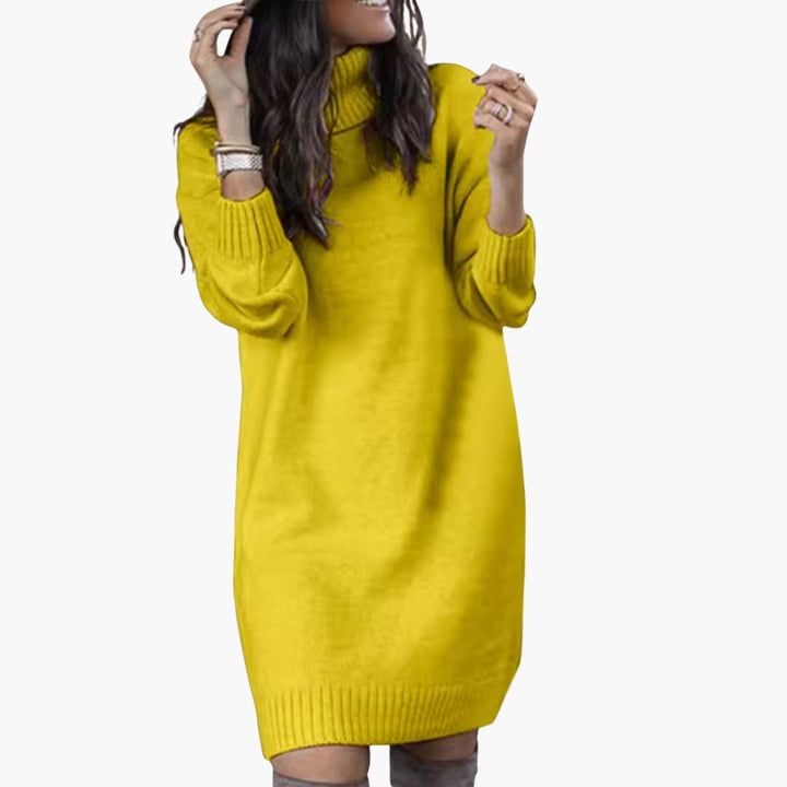 Damen kleid mit Rollkragen und langen Ärmeln