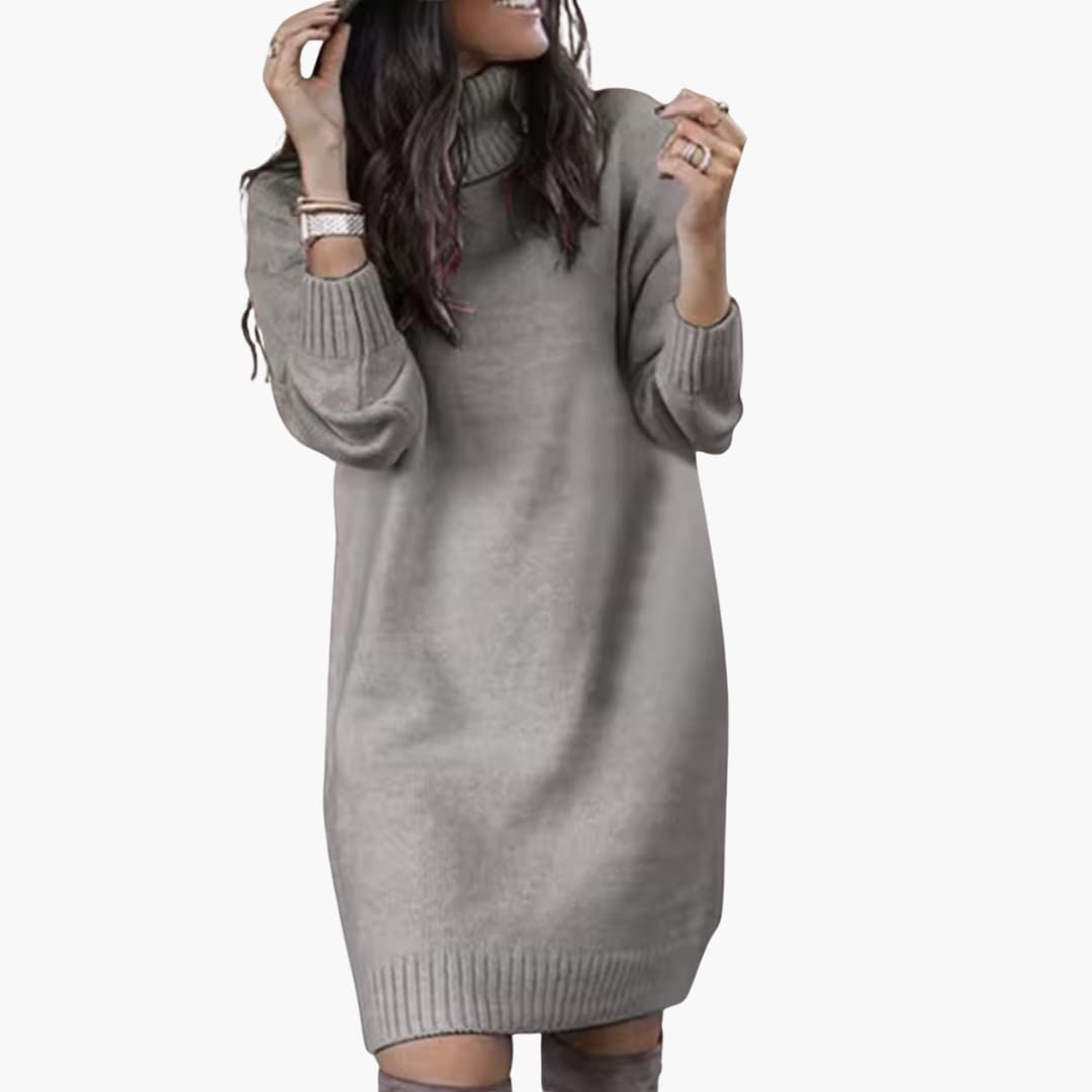 Damen kleid mit Rollkragen und langen Ärmeln