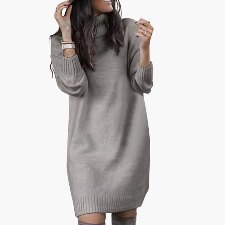 Damen kleid mit Rollkragen und langen Ärmeln